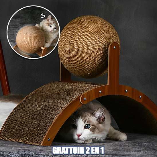 Grattoir 2 en 1 - Boule à gratter pour chat en bois : Le jouet idéal pour votre félin