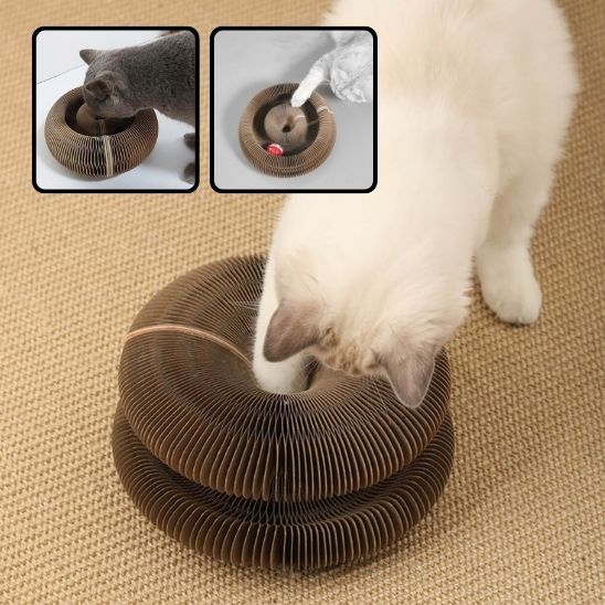 Griffoir Pliable pour Chat en Carton Ondulé : Le Paradis Félin à Portée de Patte